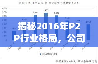 揭秘2016年P2P行业格局，公司排名与未来发展趋势展望