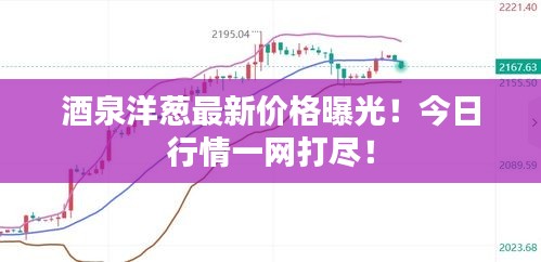 酒泉洋葱最新价格曝光！今日行情一网打尽！