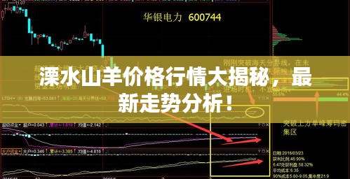 溧水山羊价格行情大揭秘，最新走势分析！