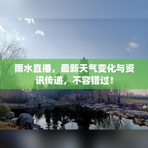 雨水直播，最新天气变化与资讯传递，不容错过！