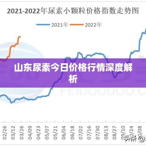 山东尿素今日价格行情深度解析