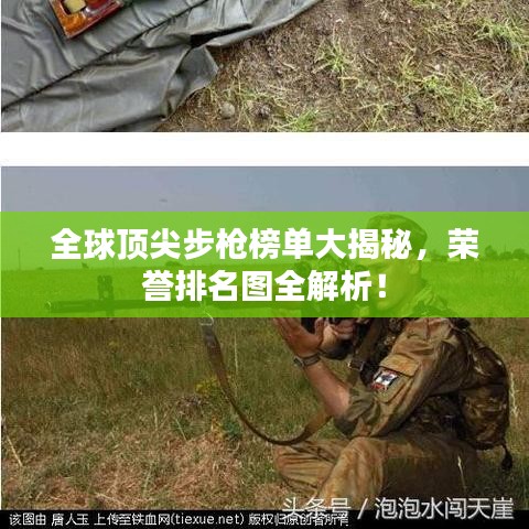 全球顶尖步枪榜单大揭秘，荣誉排名图全解析！