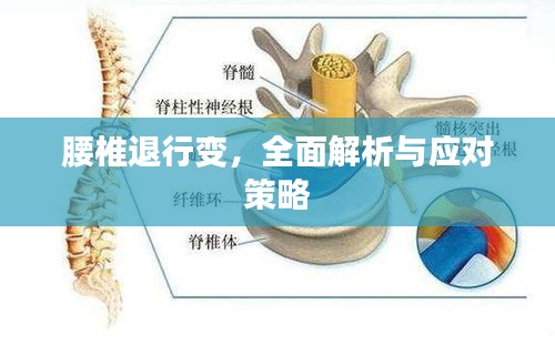 腰椎退行变，全面解析与应对策略