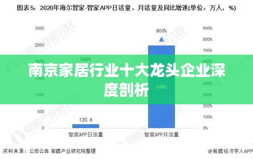 南京家居行业十大龙头企业深度剖析