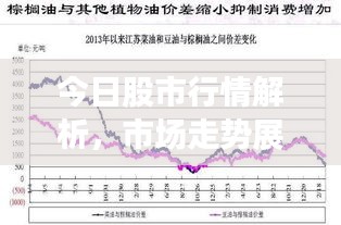 今日股市行情解析，市场走势展望与深度分析