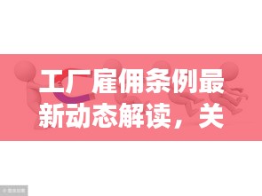 工厂雇佣条例最新动态解读，关注最新消息，洞悉用工规定变化