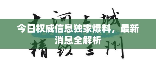 今日权威信息独家爆料，最新消息全解析