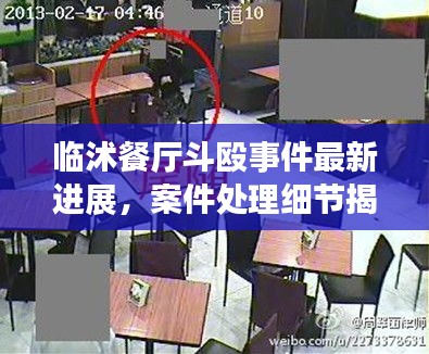 临沭餐厅斗殴事件最新进展，案件处理细节揭秘