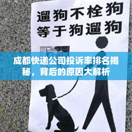 成都快递公司投诉率排名揭秘，背后的原因大解析