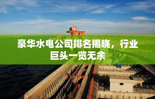 豪华水电公司排名揭晓，行业巨头一览无余