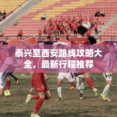 泰兴至西安路线攻略大全，最新行程推荐
