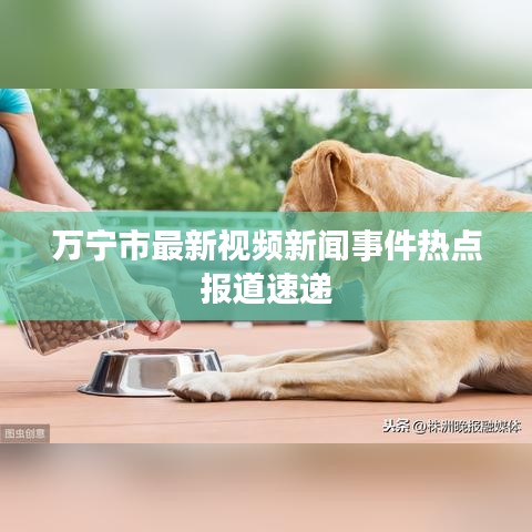 万宁市最新视频新闻事件热点报道速递