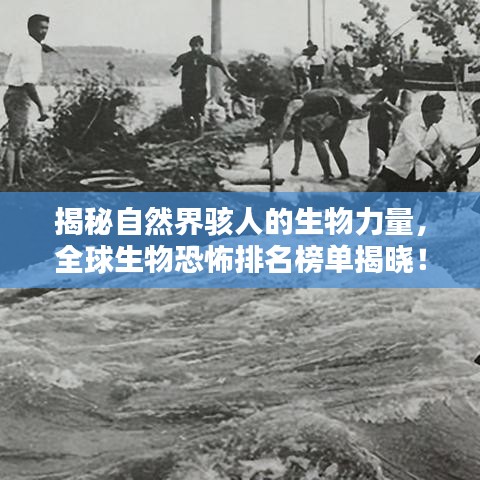 揭秘自然界骇人的生物力量，全球生物恐怖排名榜单揭晓！