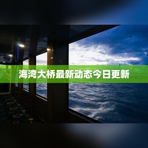海湾大桥最新动态今日更新