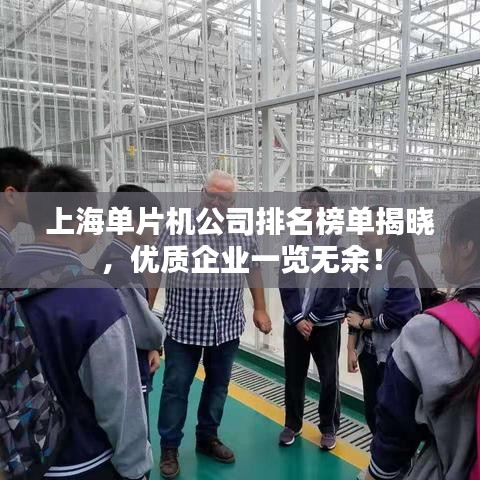 上海单片机公司排名榜单揭晓，优质企业一览无余！