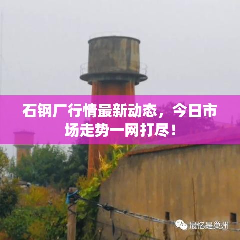 石钢厂行情最新动态，今日市场走势一网打尽！