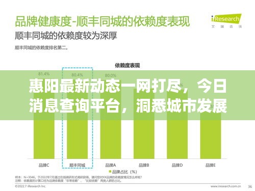 惠阳最新动态一网打尽，今日消息查询平台，洞悉城市发展趋势