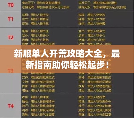 新服单人开荒攻略大全，最新指南助你轻松起步！