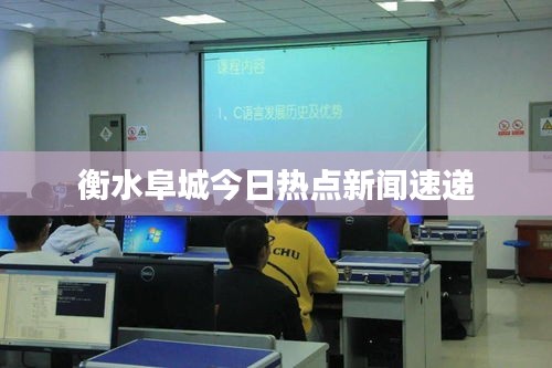 衡水阜城今日热点新闻速递