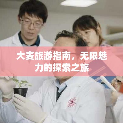 大麦旅游指南，无限魅力的探索之旅