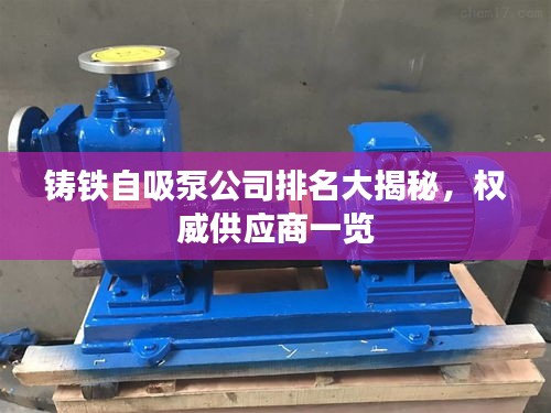 铸铁自吸泵公司排名大揭秘，权威供应商一览