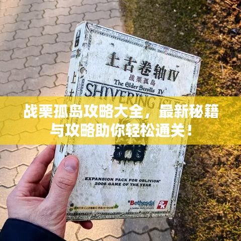 战栗孤岛攻略大全，最新秘籍与攻略助你轻松通关！