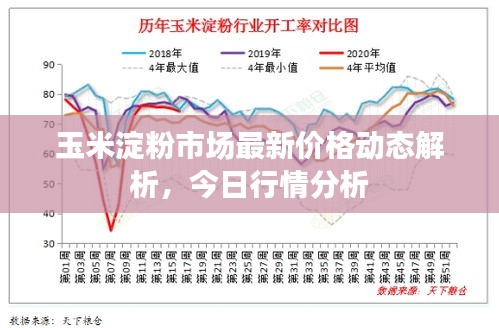玉米淀粉市场最新价格动态解析，今日行情分析