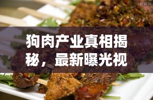 狗肉产业真相揭秘，最新曝光视频大全，探究背后不为人知的秘密