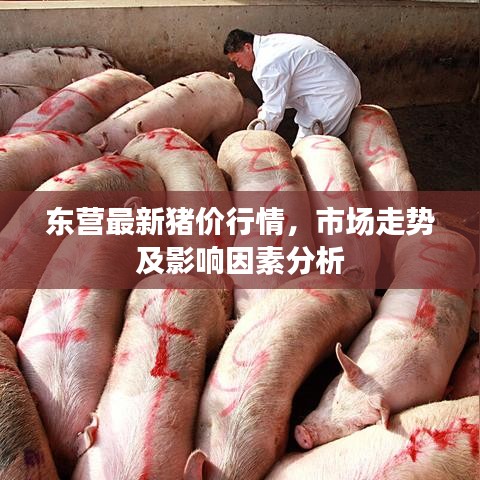 东营最新猪价行情，市场走势及影响因素分析