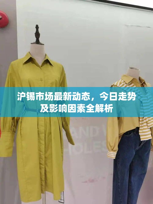 沪锡市场最新动态，今日走势及影响因素全解析