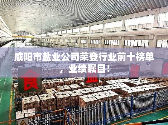 咸阳市盐业公司荣登行业前十榜单，业绩瞩目！