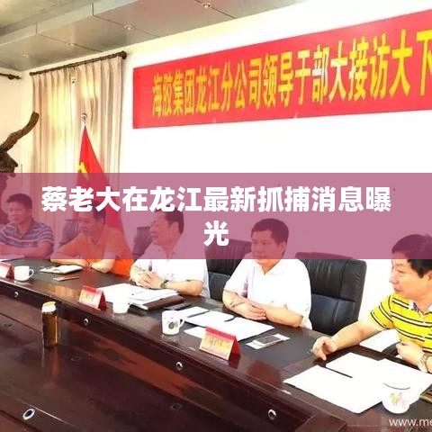 蔡老大在龙江最新抓捕消息曝光