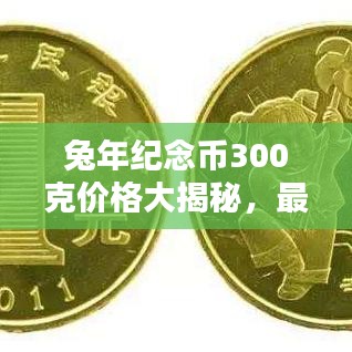兔年纪念币300克价格大揭秘，最新行情分析！