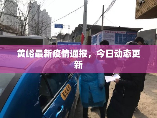 黄峪最新疫情通报，今日动态更新