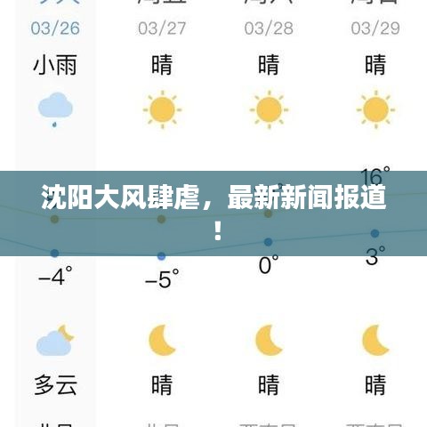沈阳大风肆虐，最新新闻报道！