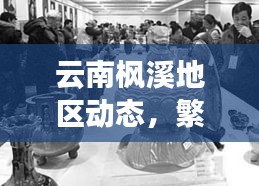 云南枫溪地区动态，繁荣与发展并行，新闻头条抢先看