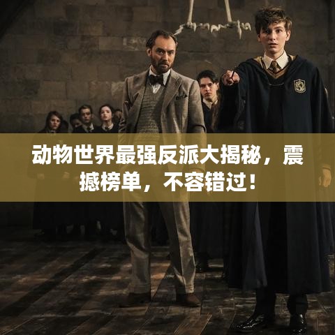 文贵天成 第2页