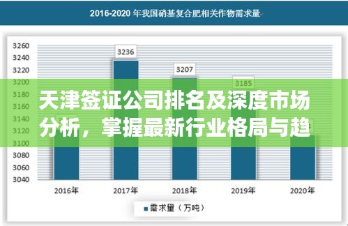 天津签证公司排名及深度市场分析，掌握最新行业格局与趋势！
