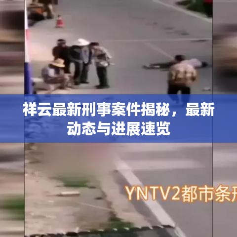 祥云最新刑事案件揭秘，最新动态与进展速览