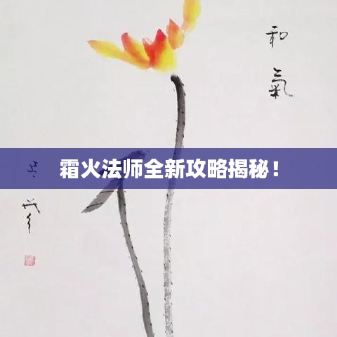 霜火法师全新攻略揭秘！