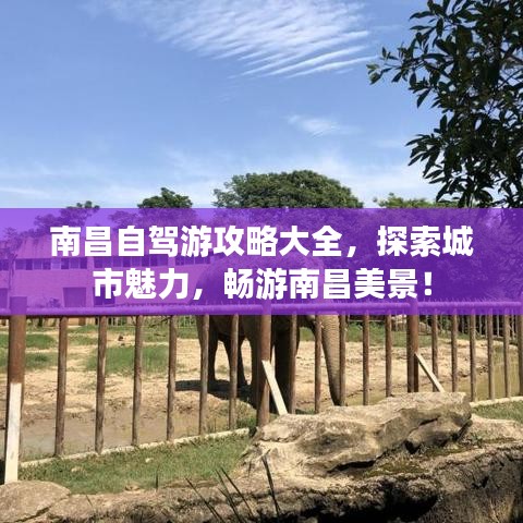 南昌自驾游攻略大全，探索城市魅力，畅游南昌美景！