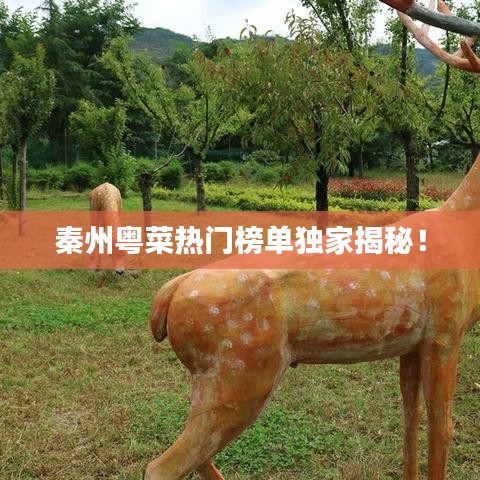 秦州粤菜热门榜单独家揭秘！