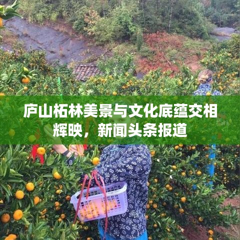 庐山柘林美景与文化底蕴交相辉映，新闻头条报道