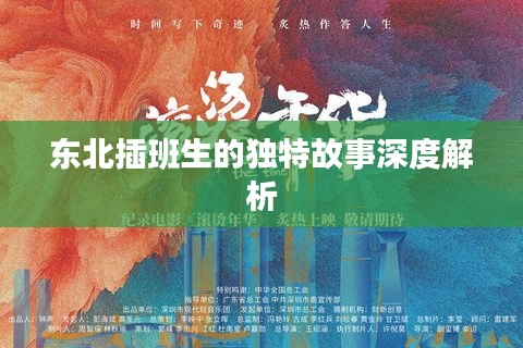 东北插班生的独特故事深度解析