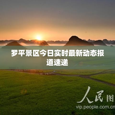 罗平景区今日实时最新动态报道速递