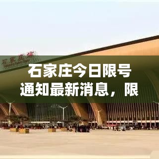 石家庄今日限号通知最新消息，限行安排大揭秘！