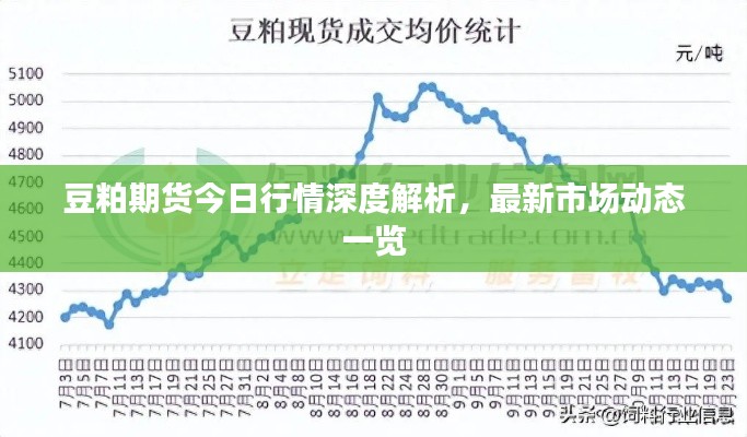 豆粕期货今日行情深度解析，最新市场动态一览