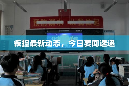 疾控最新动态，今日要闻速递