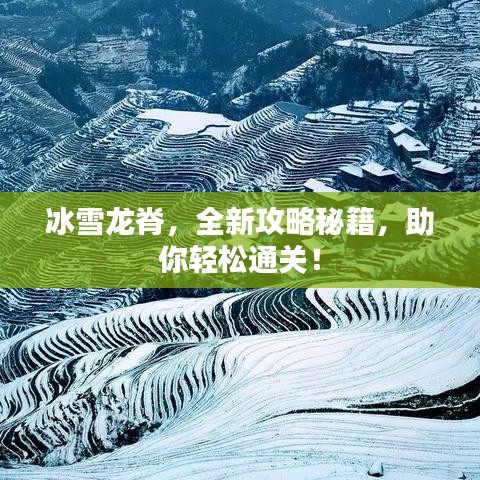 冰雪龙脊，全新攻略秘籍，助你轻松通关！