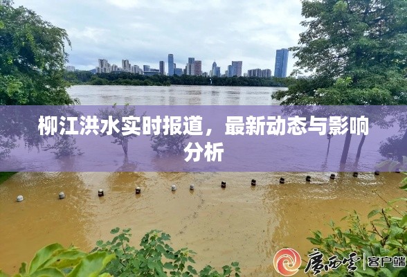 柳江洪水实时报道，最新动态与影响分析